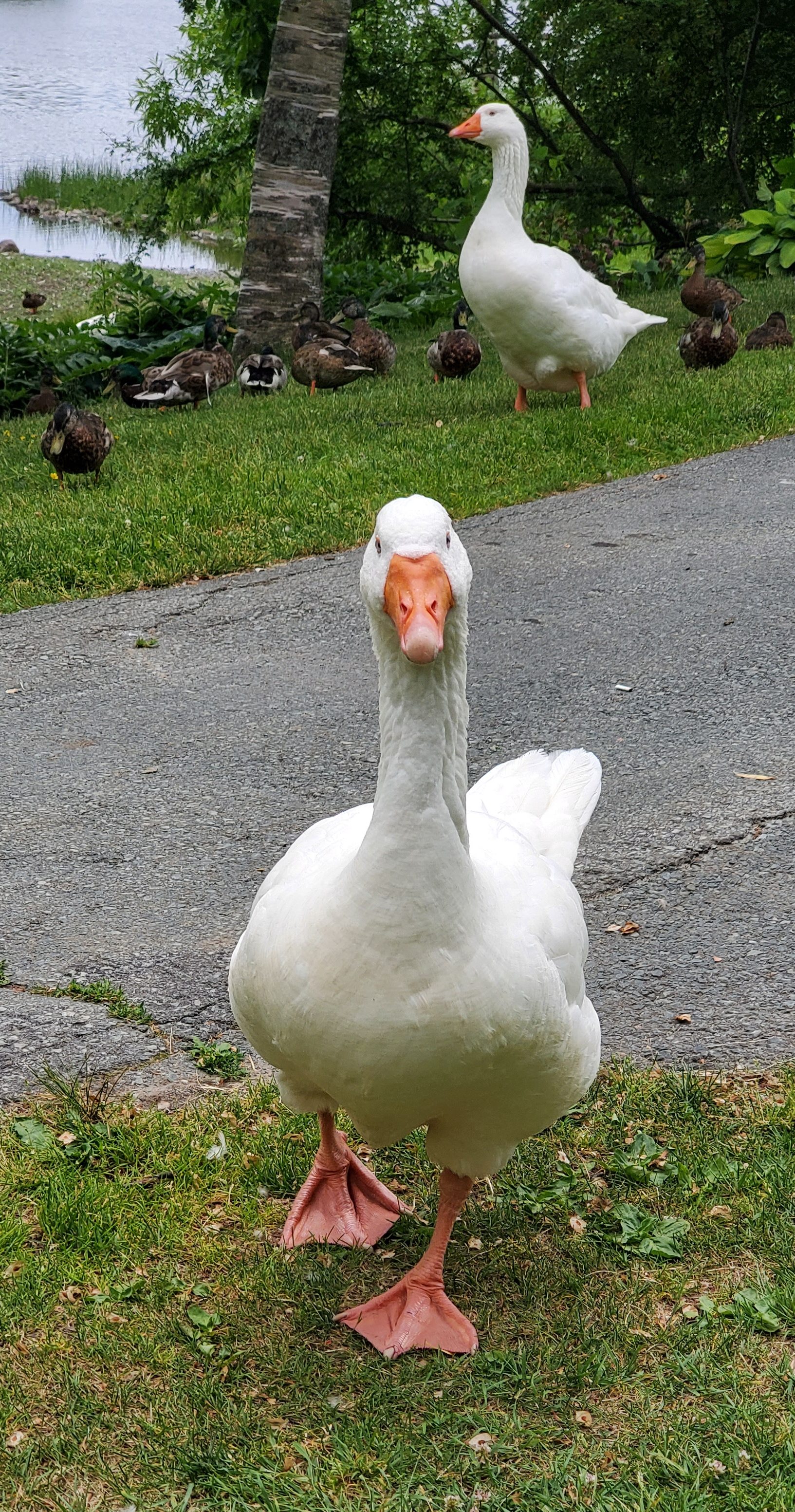 A Day of Small Victories